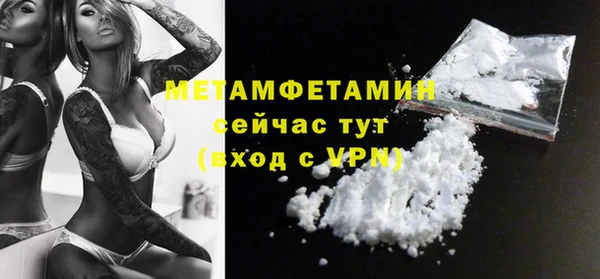 хмурый Верея