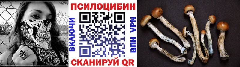 цена наркотик  Кизел  Галлюциногенные грибы MAGIC MUSHROOMS 